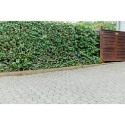 Ultrament Betonlasur Pflaster Frisch Grau 2,5 L -Innenfarben Verkauf 2010049 1507 4