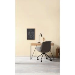 Schöner Wohnen Designfarben Wohliges Naturbeige 2,5 L -Innenfarben Verkauf 4006559471564 2211 AB 01