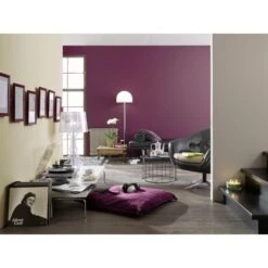 Alpina Farbrezepte Sinfonie Matt 1 Liter -Innenfarben Verkauf 811076 picture 3